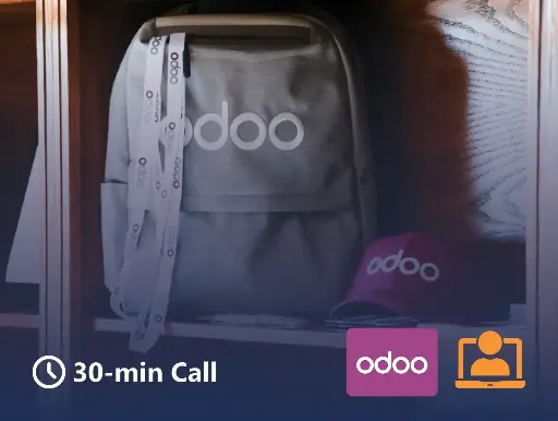 Odoo Consulting (30min)