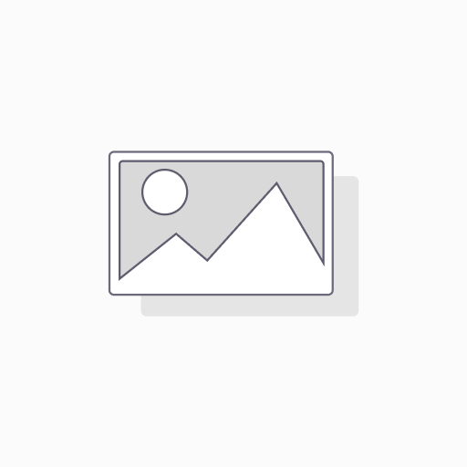 Bookkeeping - Professional Plan